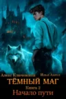 Книга Тёмный маг - книга 2. Начало пути, Алекс Ключевской (Лёха), Илья Ангел — читать, скачать или слушать онлайн